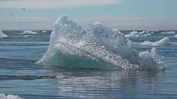 Islande. Morceaux de glace sur le rivage provenant de la fonte des icebergs de la lagune du glacier Jokulsarlon. Concept de réchauffement climatique et de changement climatique. - Séquence, vidéo