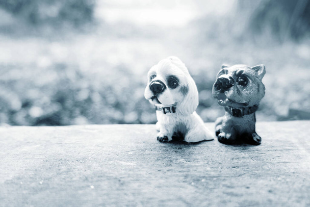 Köpek çifti bebek konsepti - Fotoğraf, Görsel