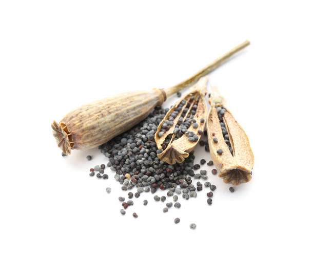 Dried poppyheads and seeds on white background - Zdjęcie, obraz