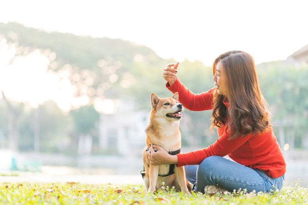 Haustierliebhaber-Konzept. Junges Sommerkonzept für Hündin und Hund. Das Mädchen spielt mit dem Shiba Inu Hund im Hinterhof. asiatische Frauen befehlen zum Hund. Kopierraum. - Foto, Bild