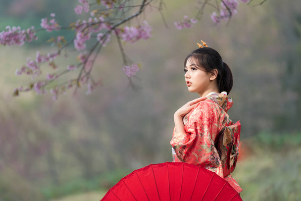 Ragazza giapponese con un kimono con un ombrello rosso in mano. Bella femmina che indossa il tradizionale kimono giapponese con fiori di ciliegio in primavera, Giappone. Asiatico donna turisti. - Foto, immagini