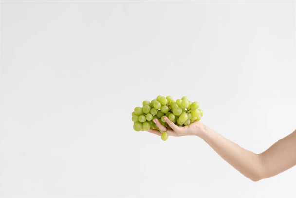 Hand met groene druiven. Geïsoleerd op de witte achtergrond. Vrouwelijke hand met een bos druiven, neutrale achtergrond - Foto, afbeelding