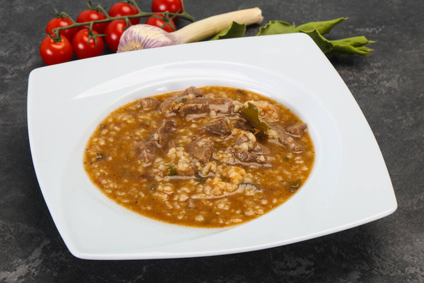 Kavkazská Charcho polévka s hovězím masem a rýží - Fotografie, Obrázek