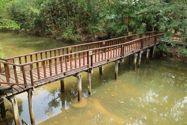 Drewniany most nad kanałem małej wioski, krajobraz Tajlandii - Zdjęcie, obraz