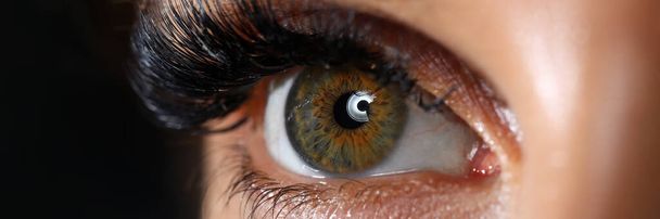 Hermoso ojo derecho de color verde femenino con extensiones de pestañas - Foto, Imagen