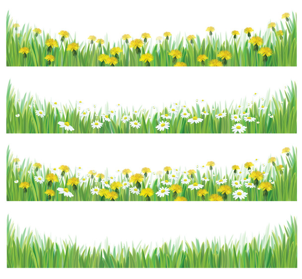 vector groen gras met chamomiles en paardebloemen. - Vector, afbeelding