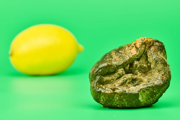 Rotte citroen en verse citroen vergelijken, groene achtergrond. Schimmel verrotte vruchten. Ongeschikt oneetbaar voedsel om te koken en nieuwe fruitvergelijking. - Foto, afbeelding