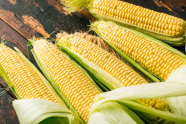 Fresh corn on the cob, agriculture, harvest - Фото, изображение