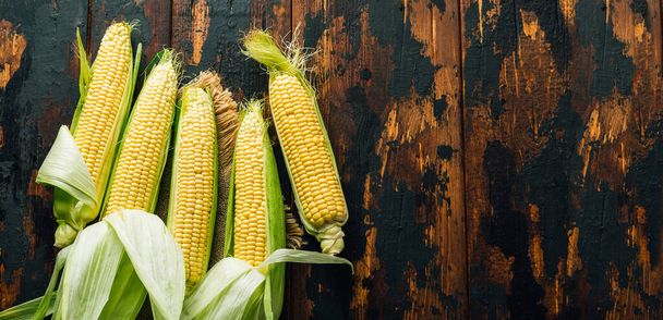 Friss kukorica a kukoricán, mezőgazdaság, betakarítás - Fotó, kép