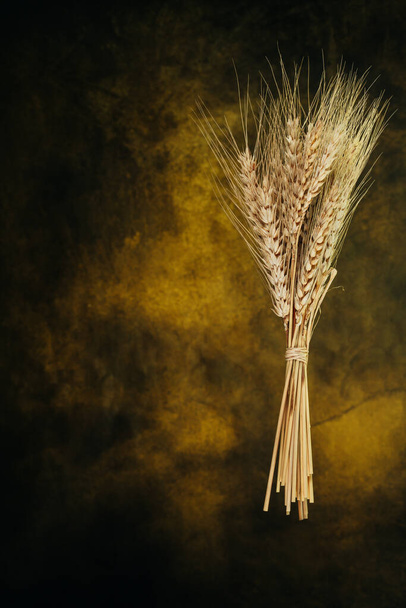 Wheat  spike on vintage yellow background - Photo, Image
