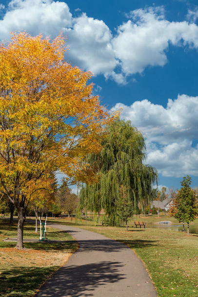 Autumn Park Walkway under Trees - Photo, Image
