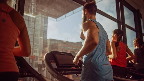 Group of Athletic People Running on Treadmills in a Row, Doing Fitness Exercise. Athletic and Muscular Women and Men Actively Training in the Modern Gym. Side View Golden Hour Sunny Light - Фото, зображення