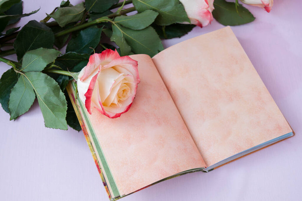 Light yellow-red roses and open blank Notepad on pink background - Fotó, kép