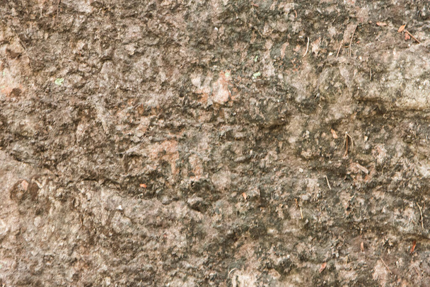Macro background surface rocks - Foto, Imagem