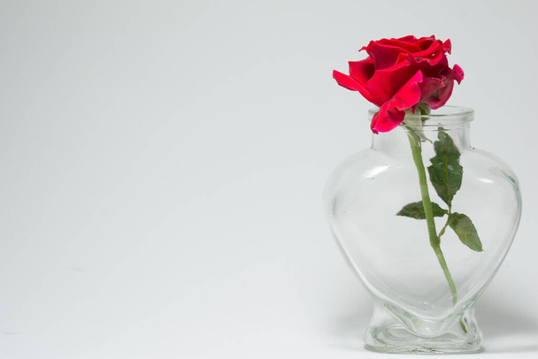love Valentine's Day Background of red roses in heart-shaped bottle - Fotografie, Obrázek