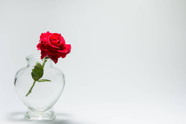 love Valentine's Day Background of red roses in heart-shaped bottle - Fotoğraf, Görsel