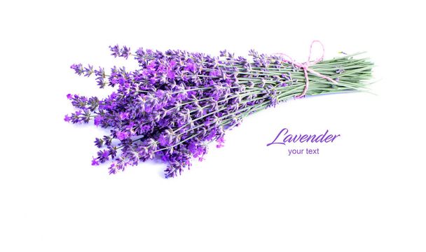 Lavendelblüten auf weißem Hintergrund. Lavendelhintergrund. Platz für Text. - Foto, Bild