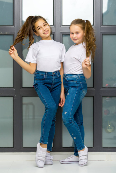 Two cute little girls posing in the studio near a large window. - Foto, Imagem