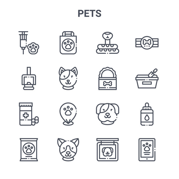 joukko 16 lemmikkieläinten käsite vektori linja kuvakkeet. 64x64 ohut aivohalvaus kuvakkeet kuten laukku, kakka, hiekkalaatikko, koira, koira, puhelin, koira, purkki, virkamerkki - Vektori, kuva