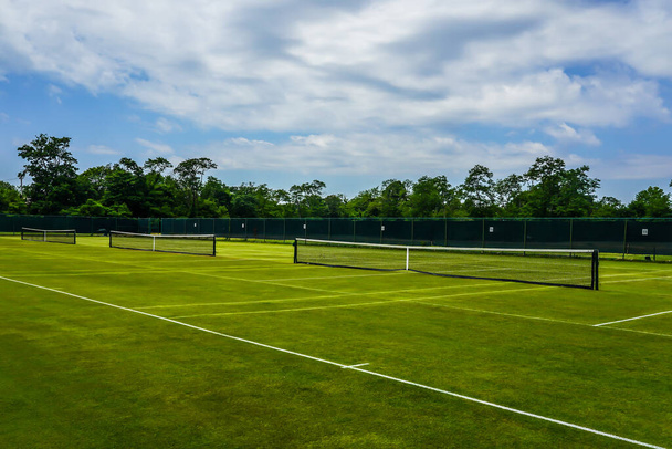 The grass tennis court  - 写真・画像