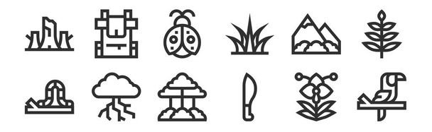 set of 12 thin outline icons such as toucan, machete, thunderstorm, mountains, ladybug, backpack for web, mobile - Vector, Image