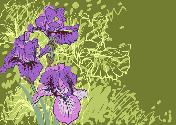 Vector decorative designs of iris flowers - Vektör, Görsel