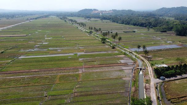εναέρια άποψη των καρύδων και ορυζώνες με αγροτικά κανάλια άρδευσης στη Γιογκιακάρτα της Ινδονησίας - Φωτογραφία, εικόνα