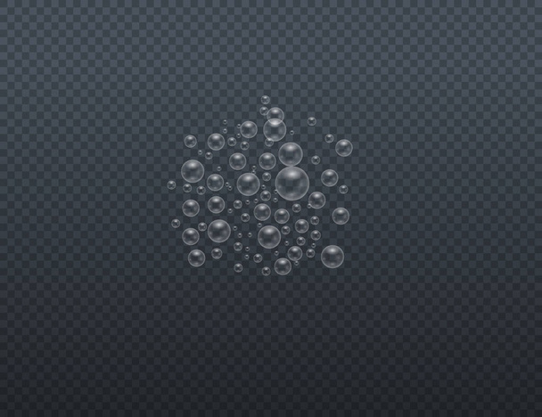 Realistic soap bubbles.  - Vector, Image