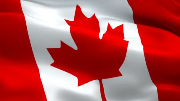 Canada flag. Canadian Flag background waving in wind. Red maple leaf flag Closeup 1080p HD video. Canada Day Montreal 1080p Full HD 1920X1080 footage video waving.Canada seamlessly footage video - Footage, Video