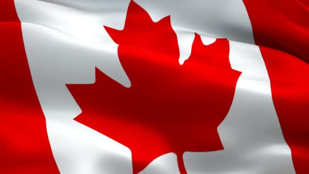 Canada flag waving in wind. Realistic Canadian Flag background. Red maple leaf flag Closeup 1080p HD video. Ottawa 1080p Full HD 1920X1080 footage video waving.Canada seamlessly looping footage video - Footage, Video