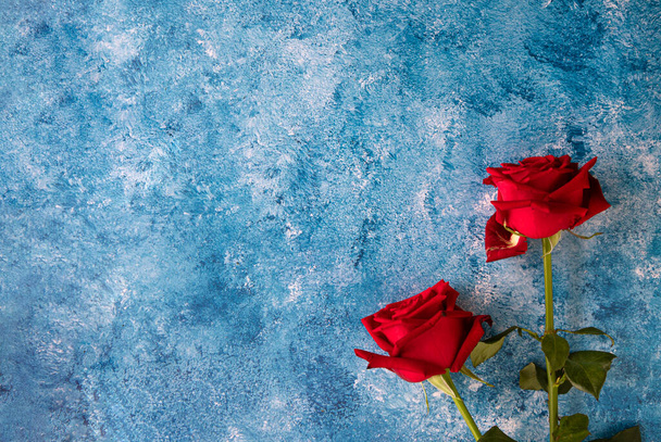 Beautiful blooming red roses on blue and white acrylic background.  Flat lay style with copy space. - Foto, Imagen