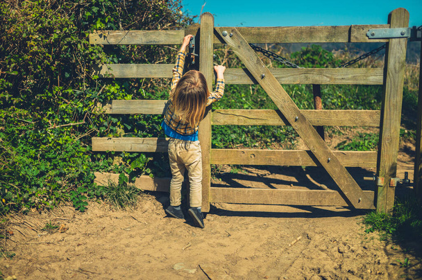A little preschooler is opening a wooden gate in nature - Foto, imagen