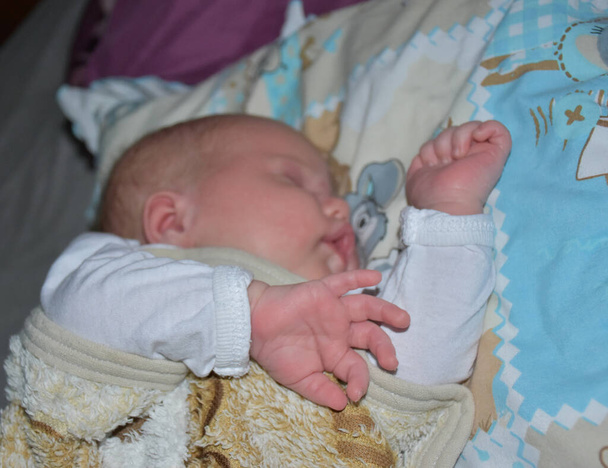 newborn baby on a white background, - Zdjęcie, obraz