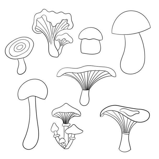 Vector set with edible mushrooms, coloring page - Vektor, obrázek