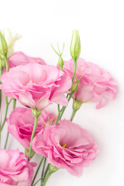 Vaaleanpunaiset eustoma kukat valkoisella taustalla, pystysuora koostumus, onnittelukortti - Valokuva, kuva