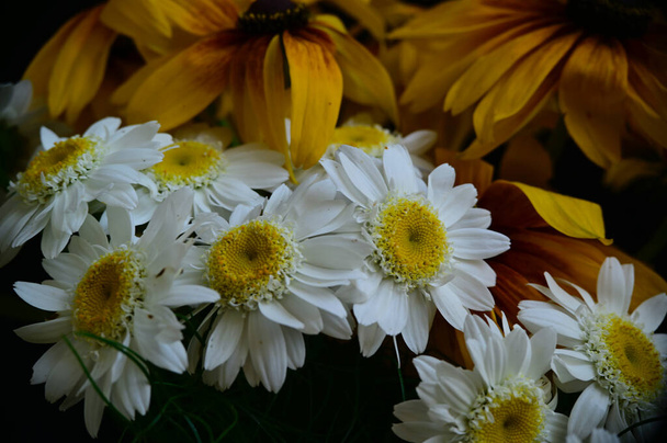 μπουκέτο με όμορφα λουλούδια σε σκούρο φόντο, καλοκαιρινό concept, κοντινή θέα   - Φωτογραφία, εικόνα