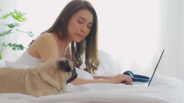 Woman typing and working on laptop with dog Pug breed lying on bed and looking on screen feeling happiness and comfortable,Friendly Dog Concept - Imágenes, Vídeo