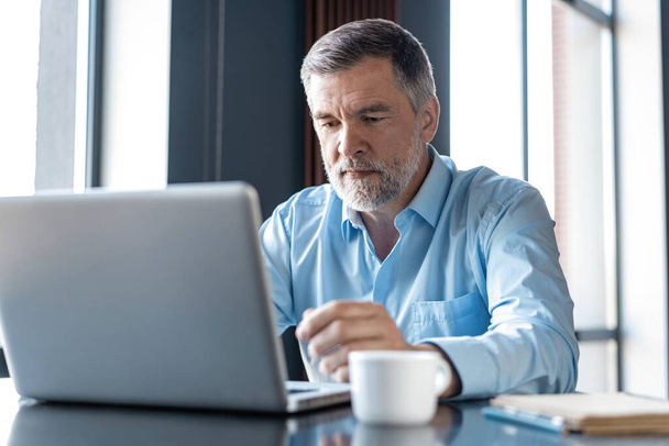 Mature businessman working on laptop. Handsome mature business leader sitting in a modern office - Φωτογραφία, εικόνα