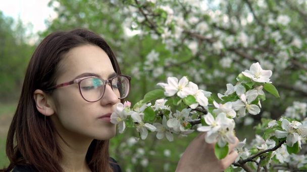 Młoda kobieta wącha kwitnące drzewo. Dziewczyna z sadu jabłkowego. Zbliżenie - Zdjęcie, obraz