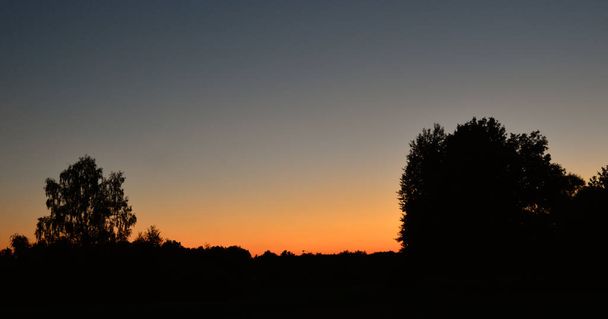 Силуети дерев на помаранчевому заході сонця
 - Фото, зображення