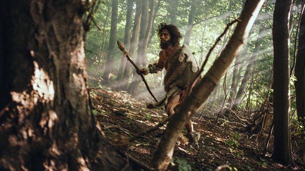 Primeval Caveman vestindo pele animal detém pedra ponta Spear olha ao redor, explora floresta pré-histórica em uma caça a presas animais. Neandertal vai caçar na selva
 - Foto, Imagem