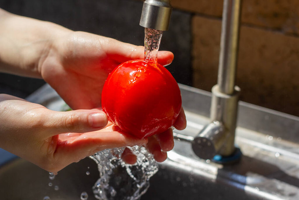 hands of woman washing a tomato in kitchen - Foto, imagen