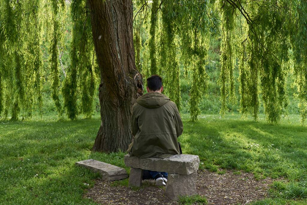 A young man sitting on a stone bench under the tree in a park - Foto, Imagem