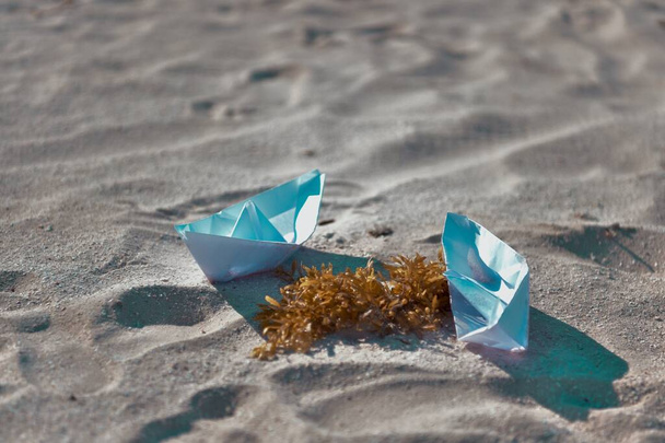 A closeup shot of an algae and paper boats on a sandy beach - Foto, immagini