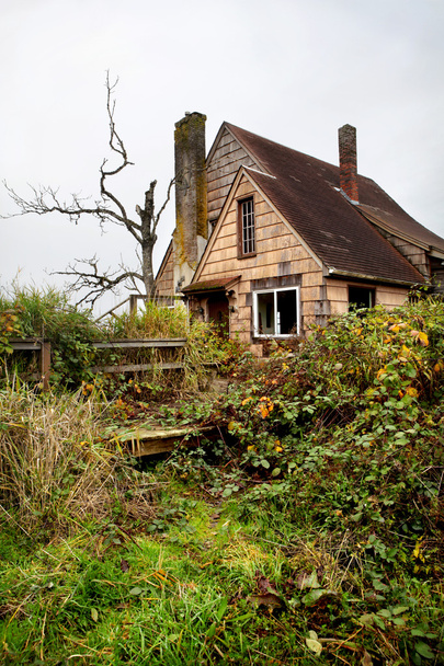 Casa abandonada y arrasada
 - Foto, Imagen