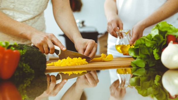 Closeup of human hands cooking in kitchen. Mother and daughter or two female friends cutting vegetables for fresh salad. Friendship, family dinner and lifestyle concepts - Foto, immagini