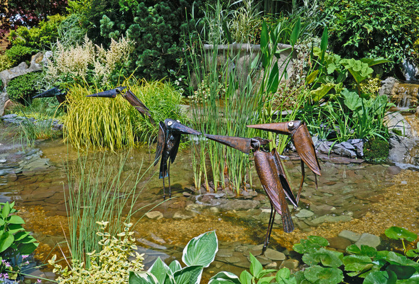 Una novedad decorativa plantado Jardín de agua con pájaros de metal y plantas de agua
 - Foto, imagen