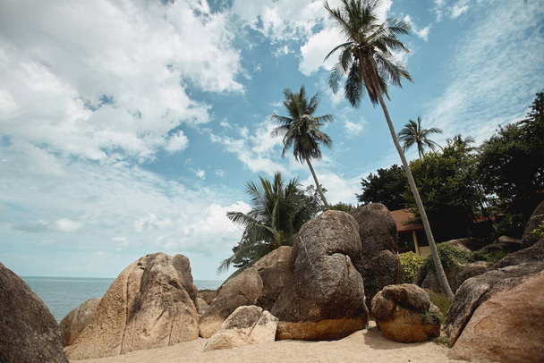 Tropical seacoast with coconut palms, huge stones, and gold sand, perspective view. Summer travel concept - Valokuva, kuva