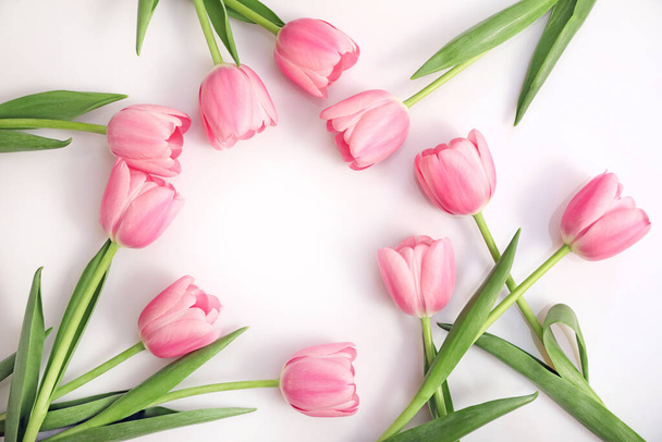 Pink tulips on white background. Top view - Zdjęcie, obraz