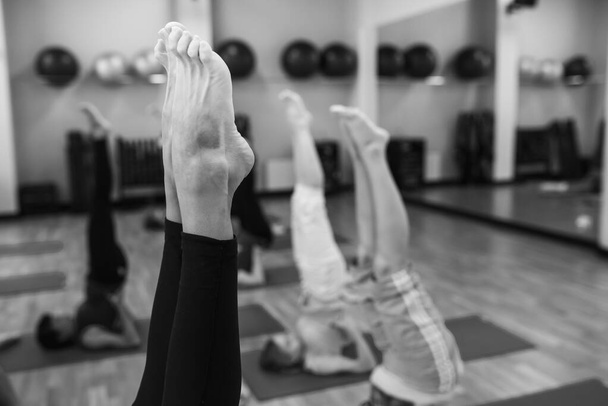 Grup yoga dersi stüdyoda. Siyah beyaz fotoğraf - Fotoğraf, Görsel